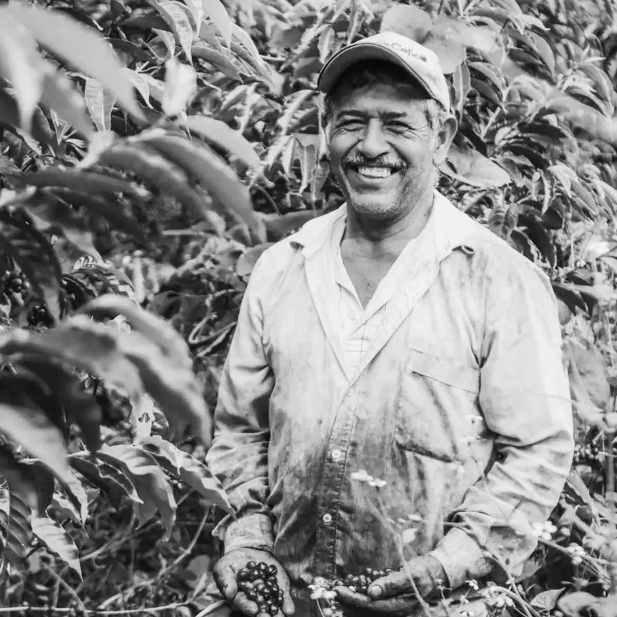 Caficultor sonriendo en su finca